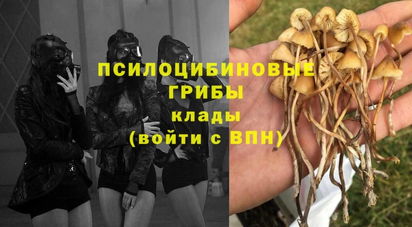 ALPHA-PVP Дмитриев