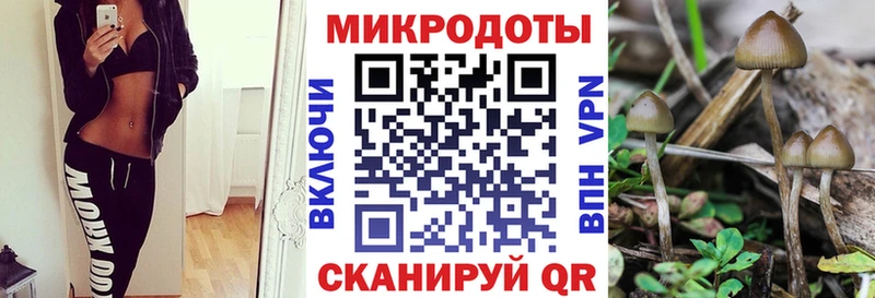 Купить где  Тулун  Псилоцибиновые грибы мицелий 